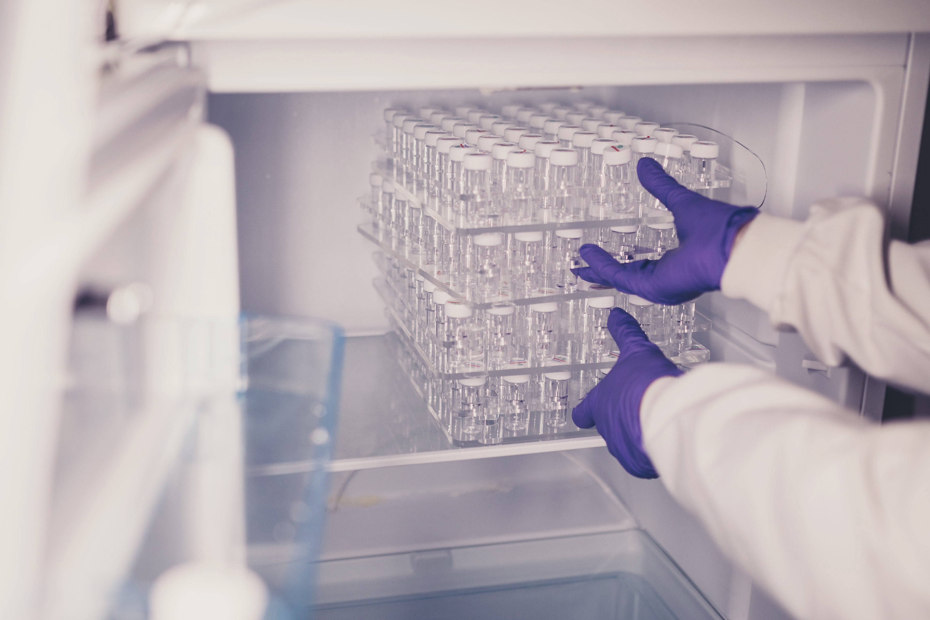 scientist placing samples into fridge