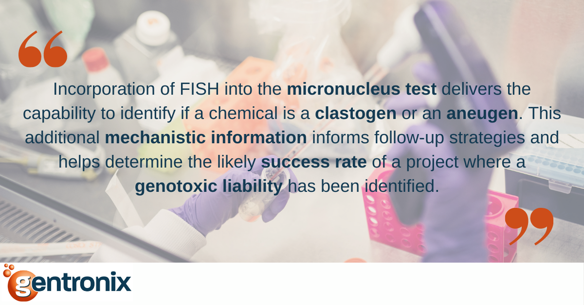 slider containing the wording "Incorporation of FISH into the micronucleus test delivers the capability to identify if a chemical is a clastogen or aneugen. This additional mechanistic information informs follow-up strategies and helps determine the likely success rate of a project where a genotoxic liability has been identified.